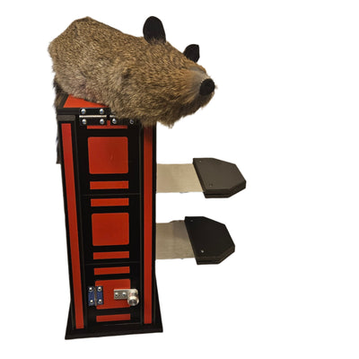 Zig Zag Rocky Racoon (without raccoon!)