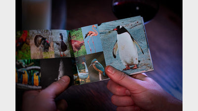 To the Point | Mark Lemon Ellusionist bei Deinparadies.ch