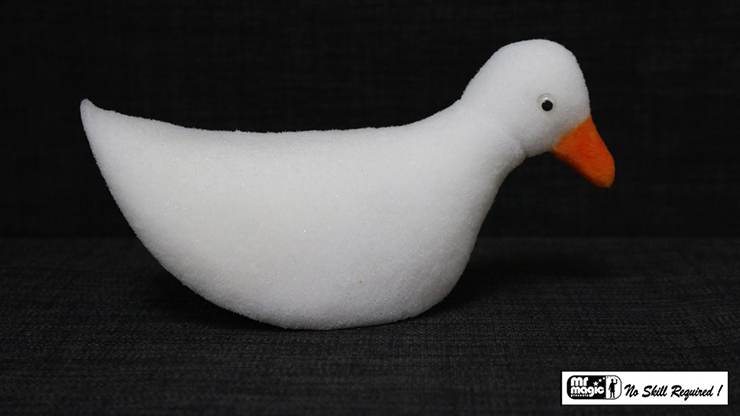 Sponge Ball to Duck | Mr. Magic