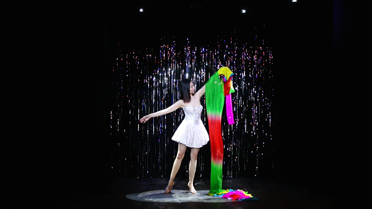 Rainbow Silk Fountain Streamer | Yan Yan Ma and Magiclism