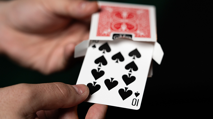 Fiedler's Flier (With Online Instruction) | DARYL