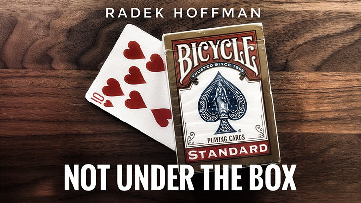 Not Under the Box | Radek Hoffman - Video Download