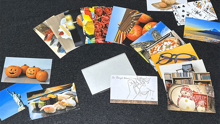 See Through Voices | Show