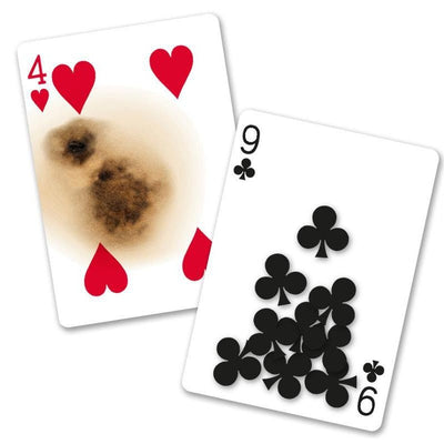 Bicycle Super Gaff Trickkartenspiel Bicycle bei Deinparadies.ch