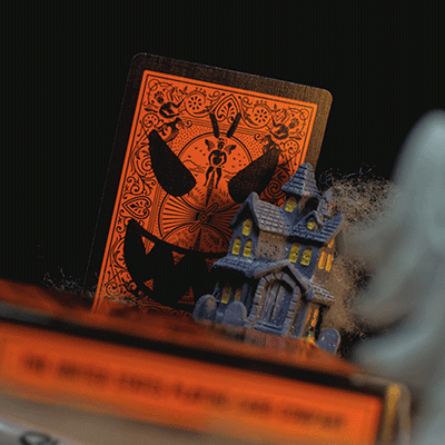 Bicycle Reverse (Orange) Playing Cards-Deinparadies.ch-Deinparadies.ch