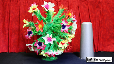 Classic Botania Jumbo | 40 Blüten Sadik & Co. bei Deinparadies.ch