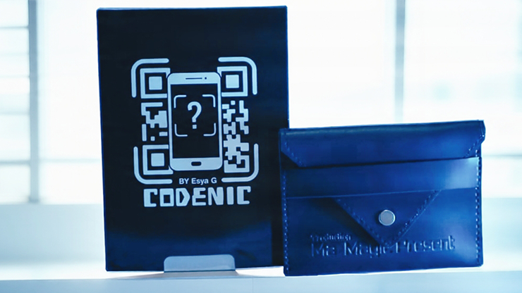 Codenic | Esya G.-maarif-Deinparadies.ch