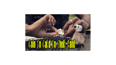 Coin In card by Jibrizy - - Video Download Jibrizy bei Deinparadies.ch