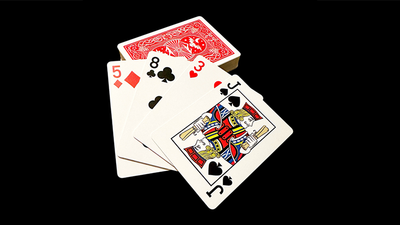 DVK Pro | Steve Dela-Steve Dela-Deinparadies.ch