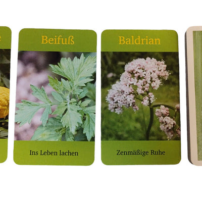 Das Duft-Dreieck | Christoph Borer