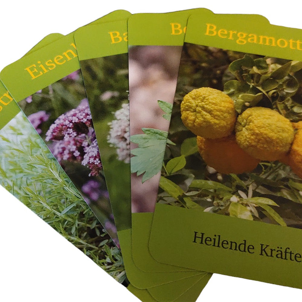 Das Duft-Dreieck | Christoph Borer