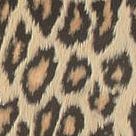 Devilstick Safari | Leopard