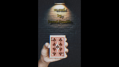 Ex Card by Jawed Goudih - Video Download Jawed Goudih bei Deinparadies.ch