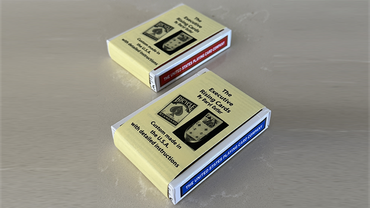 Executive Rising Cards (Red)-Deinparadies.ch-Deinparadies.ch