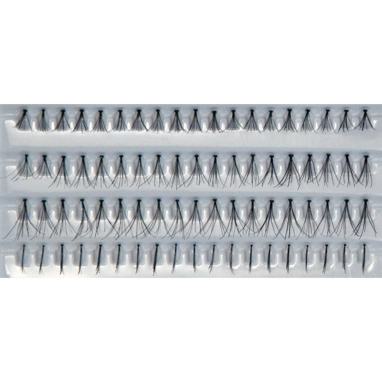 Cils 513 individuellement