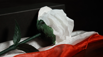 Fantasy Rose | Leon, Bond Lee & MS Magic-Lee Jah Bond-Deinparadies.ch