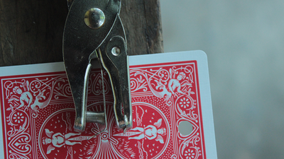 Firefly by Arnel Renegado - Video Download ARNEL L. RENEGADO bei Deinparadies.ch