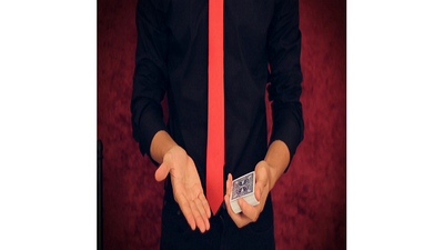 Flawless by Shin Lim - Video Download Tune2Magic SHOP, LLC ROYALTY bei Deinparadies.ch