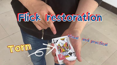 Flick Restoration by Dingding - Video Download Dingding bei Deinparadies.ch
