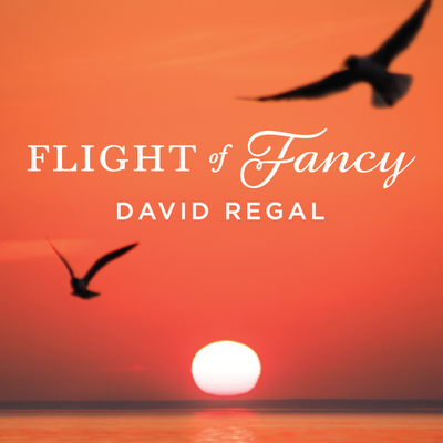 Flight of Fancy | David Regal-Penguin Magic-Deinparadies.ch