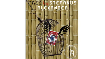 Free by Stefanus Alexander - Video Download Bear Magic Shop bei Deinparadies.ch