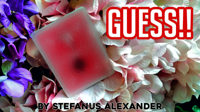 GUESS by Stefanus Alexander - Video Download Bear Magic Shop bei Deinparadies.ch