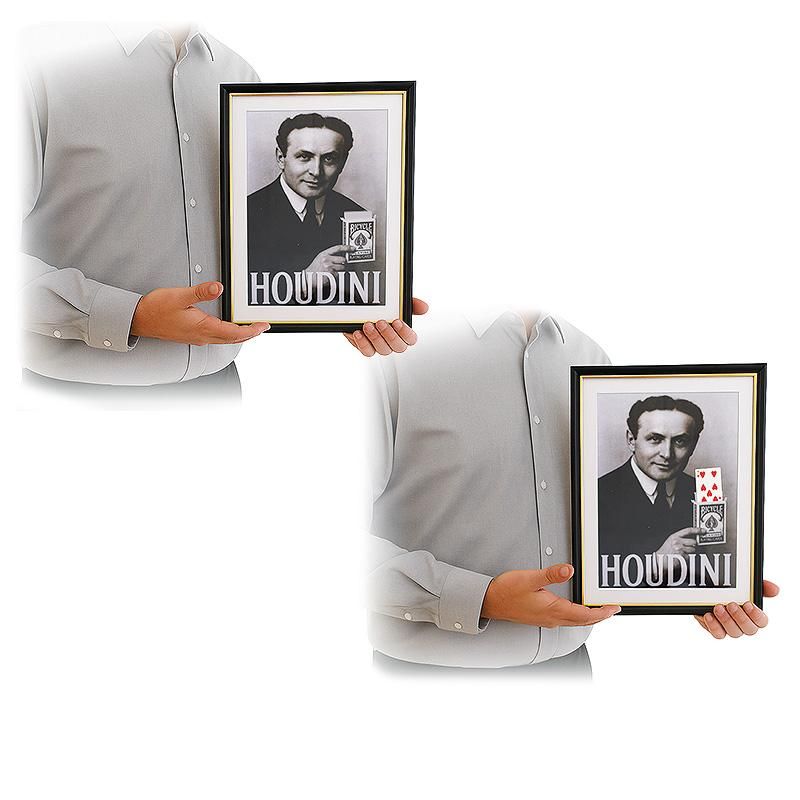 Houdini Vorhersage Bilderrahmen