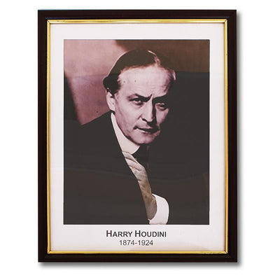 Houdini Vorhersage Bilderrahmen-Difatta Magic-Deinparadies.ch