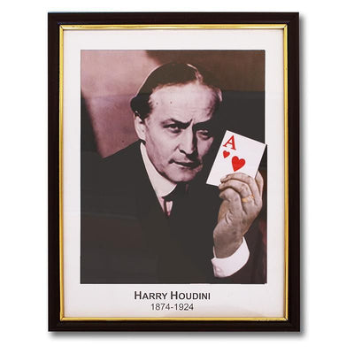 Houdini Vorhersage Bilderrahmen-Difatta Magic-Deinparadies.ch