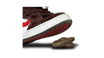 Hundekacke | Hundekegel | Hundekot feucht Tobar bei Deinparadies.ch