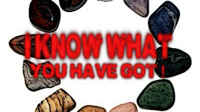 I know what you have got by Dan Alex - ebook Alessandro Criscione bei Deinparadies.ch