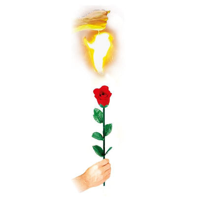 Instant Rose-Difatta Magic-Deinparadies.ch