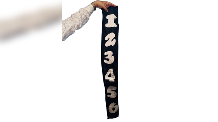 Jumbled Numbers | The Essel Magic-The Essel Magic-Deinparadies.ch