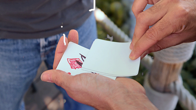 Kid Canvas | Adrian Vega-Crazy Jokers-Deinparadies.ch