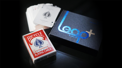 LEAP+ | Agus Tjiu-Tjiu Agus Haryanto-Deinparadies.ch