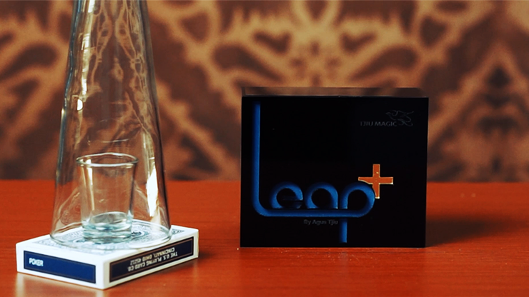 LEAP+ | Agus Tjiu-Tjiu Agus Haryanto-Deinparadies.ch