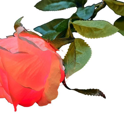 Leuchtende Rose | LED Rose