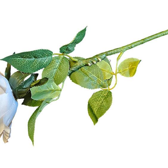 Leuchtende Rose | LED Rose