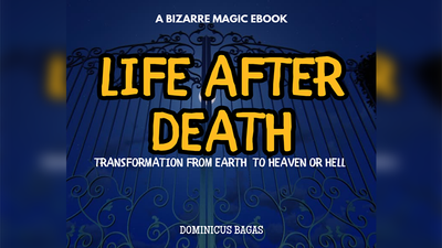 Life After Death | Dominicus Bagas - Ebook-Dominicus Bagas-Deinparadies.ch
