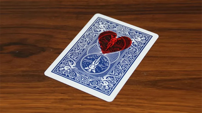 Love Transfer | N2G and WZ