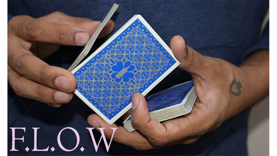 Magic Encarta Presents F.L.O.W by Vivek Singhi - - Video Download Magic Encarta bei Deinparadies.ch