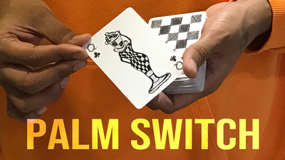 Magic Encarta Presents Palm Switch & Palm Control by Vivek Singhi Magic Encarta bei Deinparadies.ch