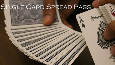 Magic Encarta Presents Single Card Spread Pass by Vivek Singhi - Video Download Magic Encarta bei Deinparadies.ch