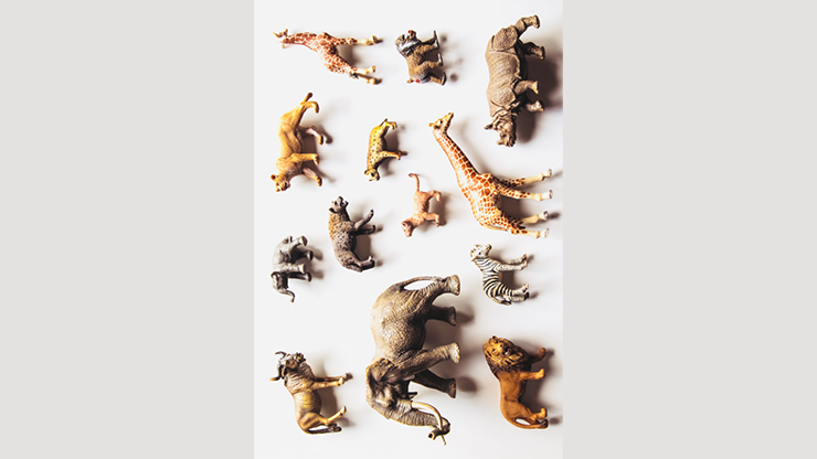 Noah's Ark Prop-less Animal Guess | Fraser Parker Fraser Parker bei Deinparadies.ch
