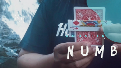Numb by Agustin - Video Download AGUSTIN bei Deinparadies.ch