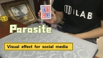 Parasite by Dingding - Video Download Dingding bei Deinparadies.ch