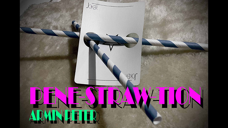 PenStrawtration | Armin Peter - Video Download Achim Peter Pribyl bei Deinparadies.ch