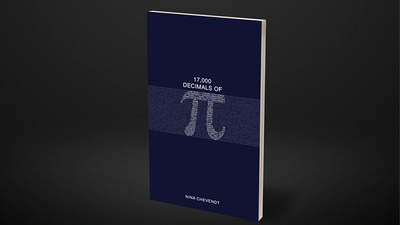 Pi MAX Book Test | Vincent Hedan Vincent Hedan bei Deinparadies.ch