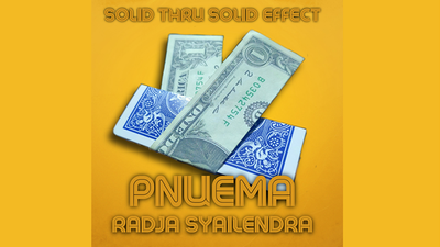 Pnuema by Radja Syailendra - Video Download SaysevenT bei Deinparadies.ch
