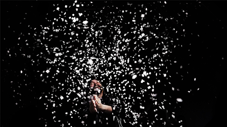 Professional Snowstorm Pack (12 pk) | Murphy's Magic-Murphy's Magic Productions-Deinparadies.ch